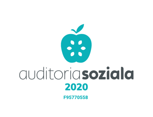 auditoria soziala 2020